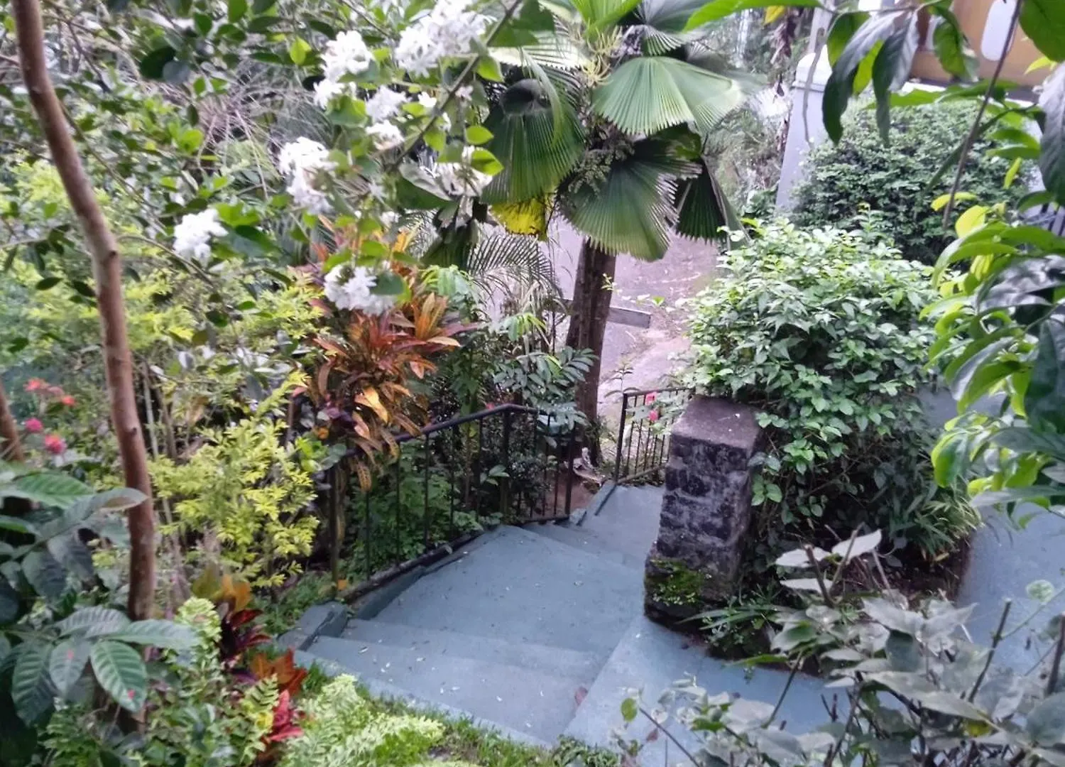 Проживание в семье Alex Home Stay Канди