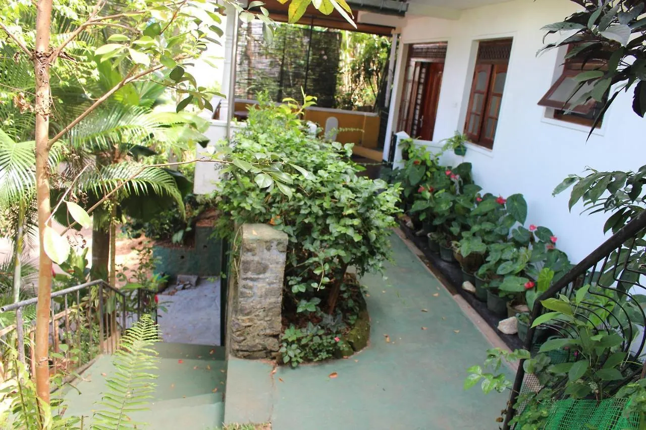 Alex Home Stay Канди Проживание в семье