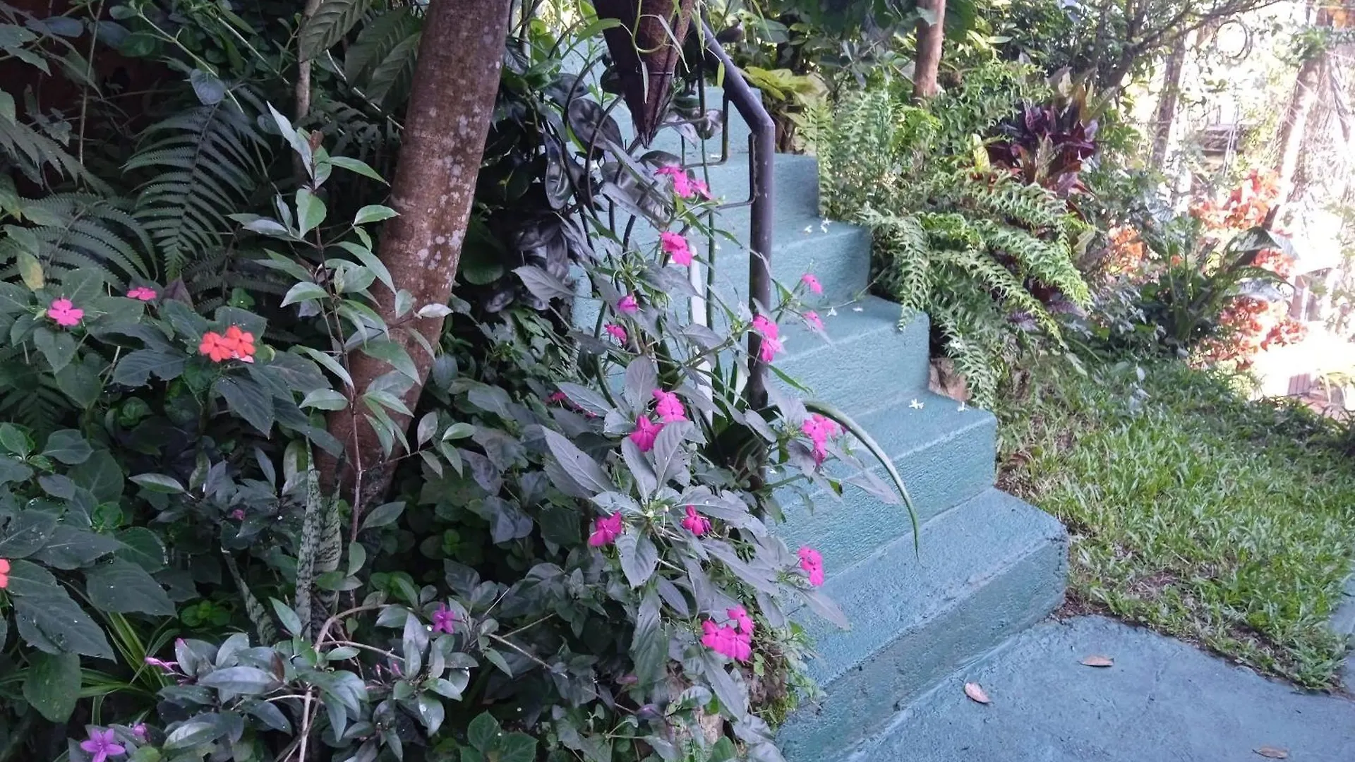 Homestay Alex Home Stay Kandy Sri Lanka