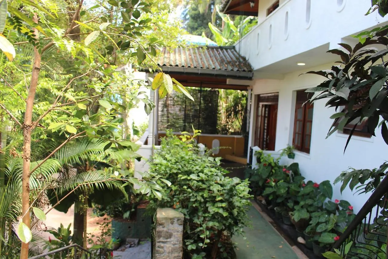 Alex Home Stay location